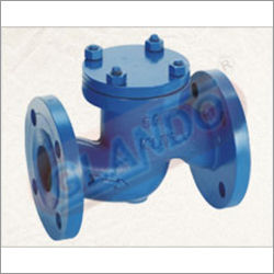 Lift Check Valve