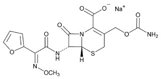 Cefonicid sodium