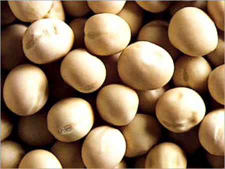 पीले मटर