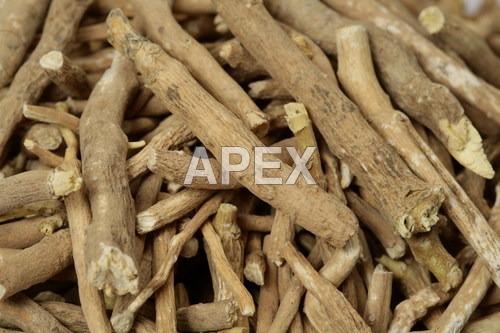 Ashwagandha Roots - Dried 500 Kilograms | Natural Energy Booster, Reduces Stress & Anxiety, Promotes Skin & Hair Health, Supports Mental Focus