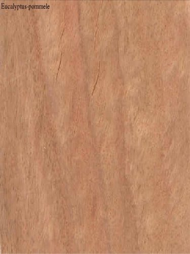 Eucalyptus-Pommele Veneers - Grade A Hardwood 0.5mm Sheets, Natural Pommele Grain, Smooth Sanded, E1 Standard