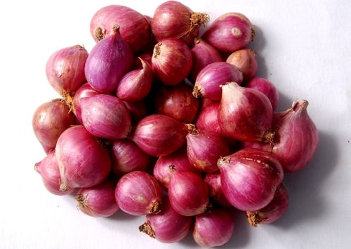 छोटी प्याज