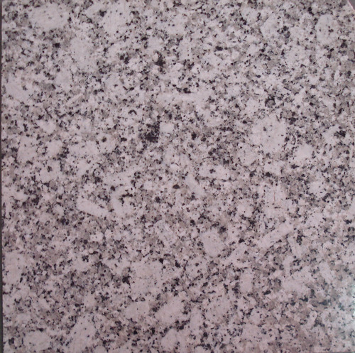 Polished China White Granite