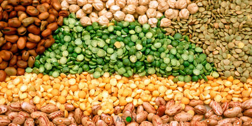 Multi Color Seeds