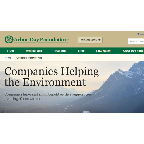 Corporate Software