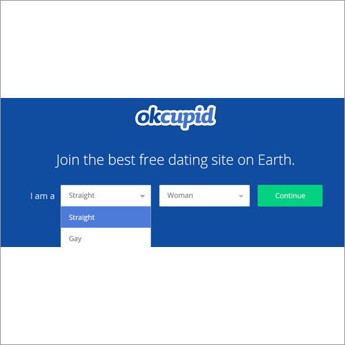 Dating Software Services