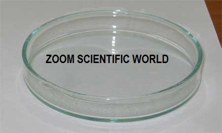 Petri Dish - Glass, 100 mm x 15 mm | Transparent, Lightweight, Non-Toxic, Customizable Options Available