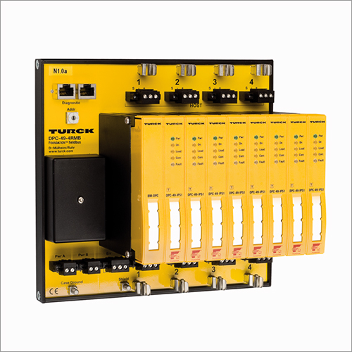 फाउंडेशन फील्ड बुश