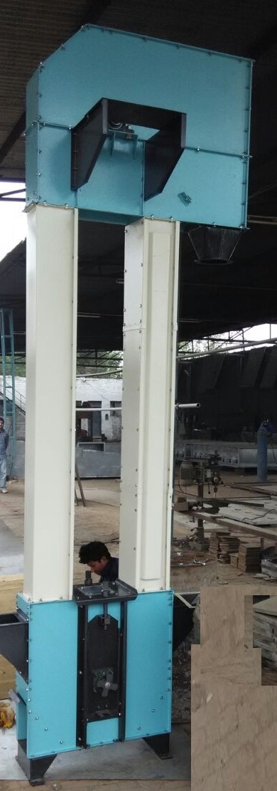 Sella Rice Plant