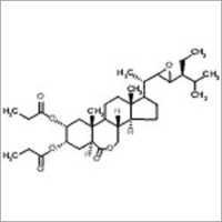 एपोचोलोन