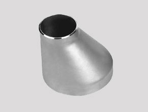 Stainless Steel 317L Reducer
