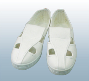 ईएसडी स्लीपर