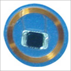 पालतू डिस्क टैग