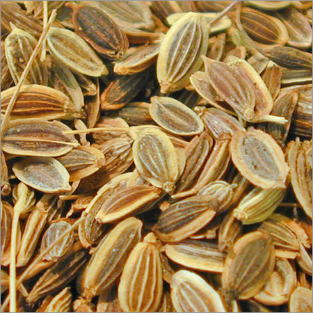 dilleeds