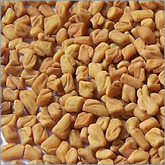 Fenugreek Seeds 