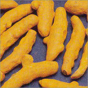Turmeric Fingure