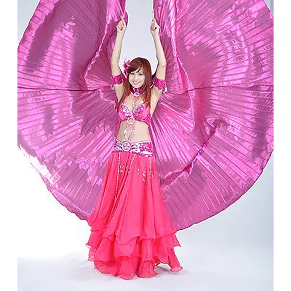 Purple Belly Dance ISIS Wing with Top Skirt