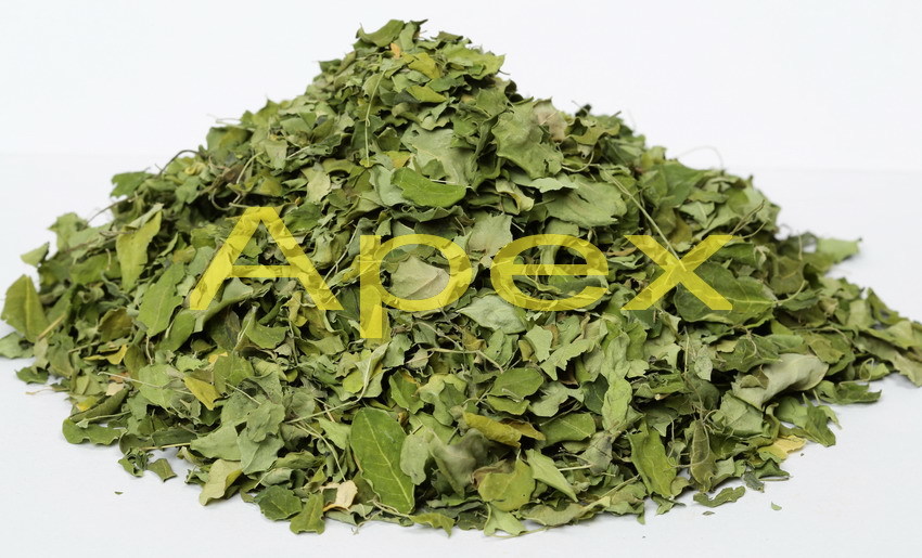 Moringa Leaves Powder - 100% Organic, 25 Kg Pack, Powder Mesh Size: 40, 60, & 80 | Rich In Antioxidants, Anti-inflammatory Benefits, Herbal Remedy