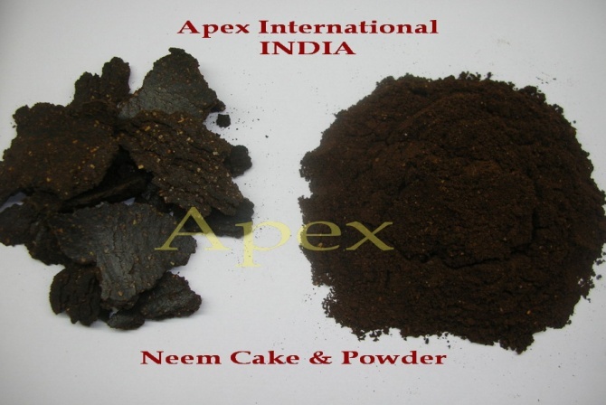Neem Cake - Medicine Grade Herbal Extract | Antipyretic, Antiseptic, Astringent, 50 Kg Pp Bags