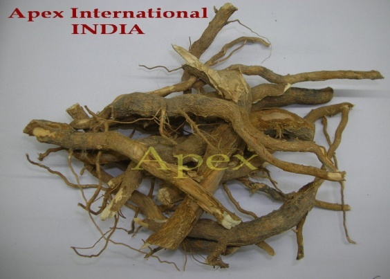 Vinca Rosea Leaf, Roots Shelf Life: 12 Months