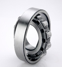 Sumo Cylindrical Roller Bearings - Material: Stainless Steel