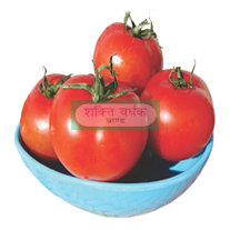 हाइब्रिड टमाटर बीज