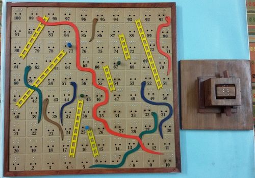 Snake & Ladder Board Game