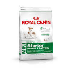 Royal Canin Mini Starter - Mother & Babydog Dry Dog Food