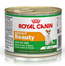 रॉयल कैनिन मिनी वयस्क ब्यूटी गीला कुत्ते का खाना