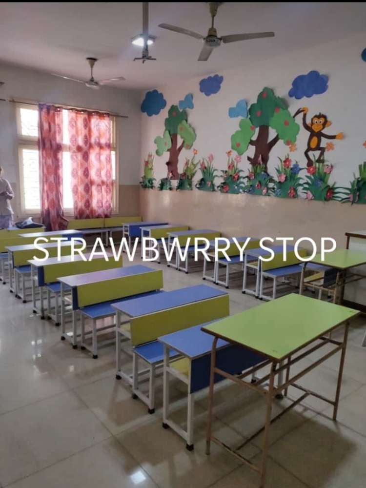 Decorative School Furniture Manufacture In Delhi Ncr - Age Group: 2 To 18 Years