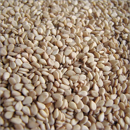 Premium Sesame Seeds - 60 Kg, White Color, 99% Purity, 18g Protein per 100g, 23g Carbohydrate per 100g, Hygienically Packed, Oil Seeds