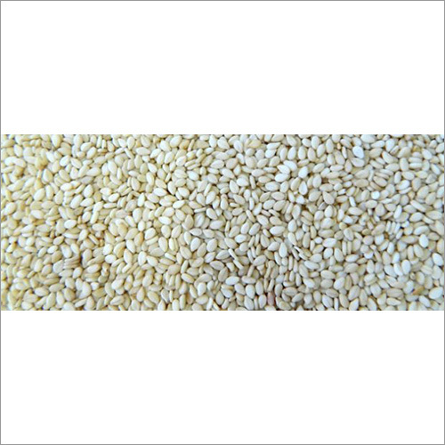 Normal Cultivation Salmonella Free Sesame Seeds