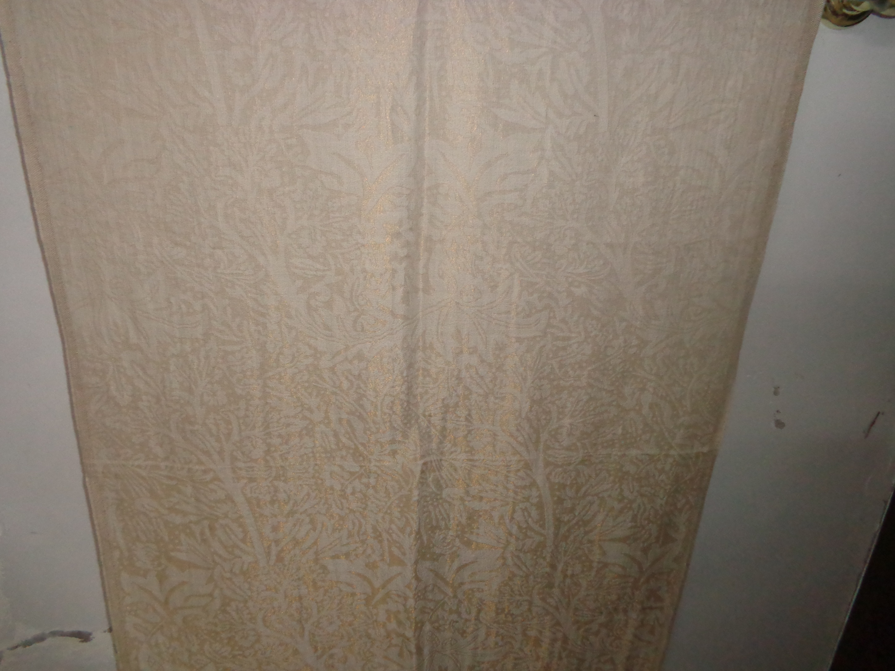 Pashmina Stoles