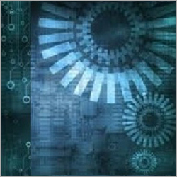 परियोजना परामर्श सेवाएँ