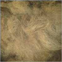 Coconut Husk Fibre