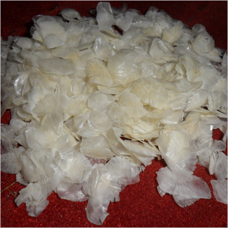 Dried Fish Scale