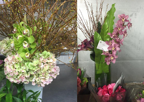 Exotic Flowers - Fresh Pink Blooms, Elegant Variety for All Occasions | Disease-Free, 3-6 Days Shelf Life, Perfect for Celebrations