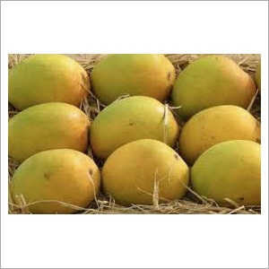 अलफोंसो आम