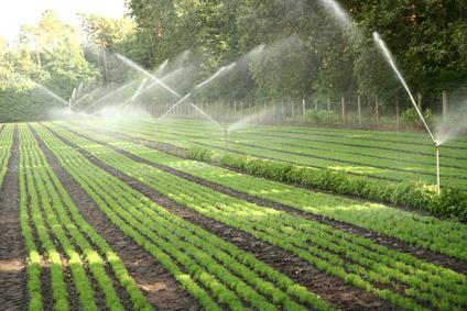 Irrigation Water Softener