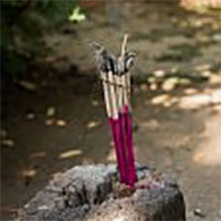 Scented Raw Incense Sticks