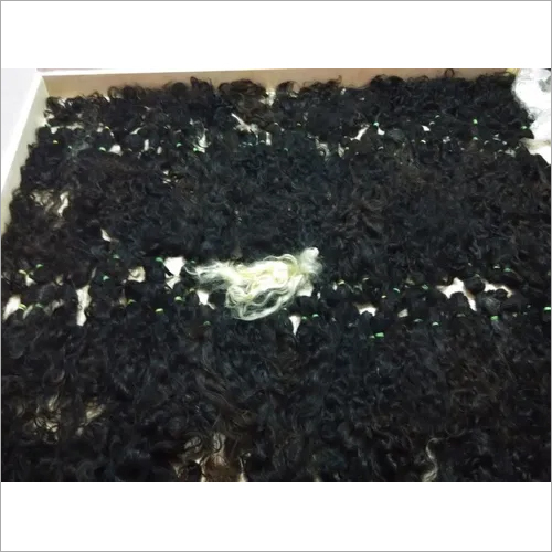 Indian Human Hair - Curly Bulk Extensions, Customized High Strand Strength, Tangle Free Glamour