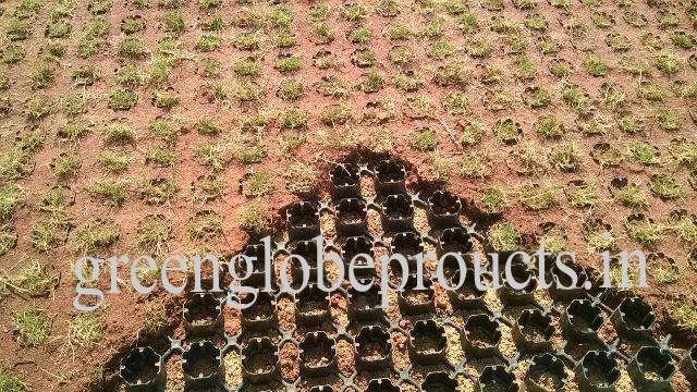 Grass Pavers - 40mm High Cells For Robust Root Development | Snap-on Joining, Flexible Grids, High Compressive Strength