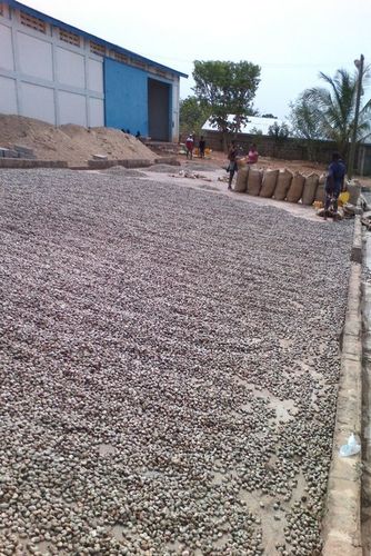 कच्चे काजू नट्स