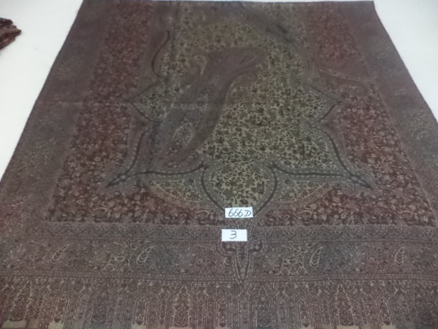 Mixcolor Ladies Jamawar Shawls