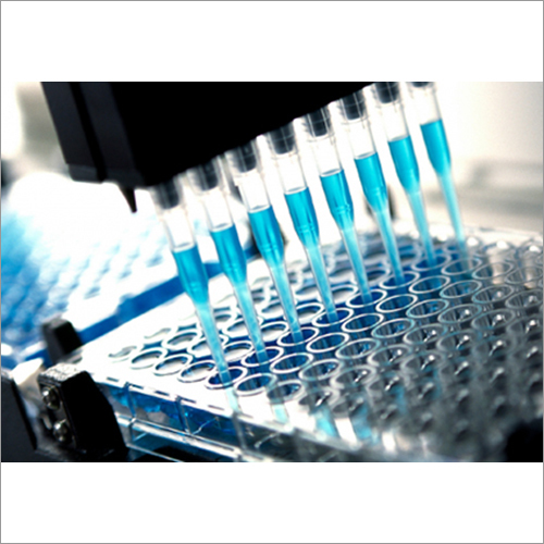 Pharmaceutical Processing Equipment