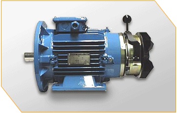 Blue Crane Duty Brake Motor