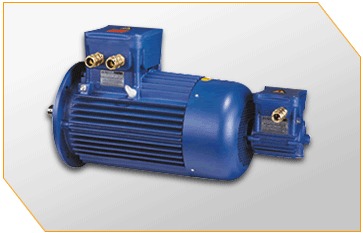 Blue Flameproof Motor With Brake
