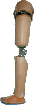 Above Knee