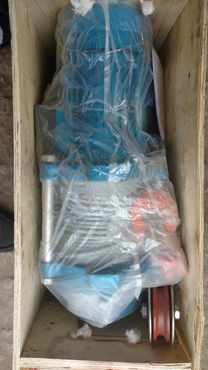 Chinese Electric Wire Rope Hoist/winch - Color: Blue