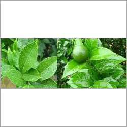 सिलिकॉन फैलाने वाला एजेंट